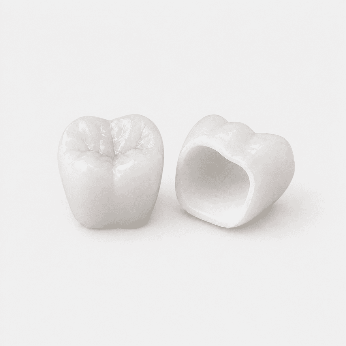 Porcelain Fused to Zirconia